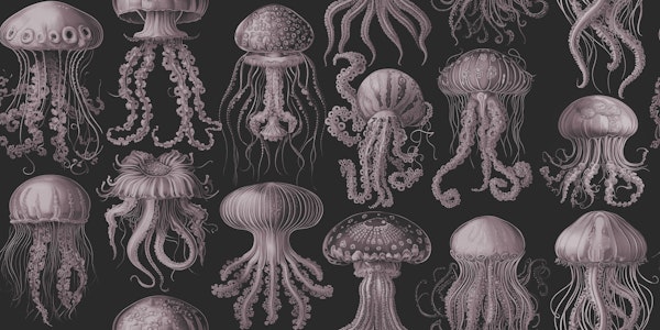 Elaborate Jellyfish - Mauve & Slate