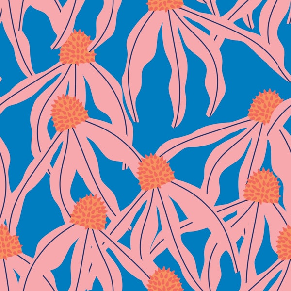 Coneflower Flamingo Pink Blue Accent Wall