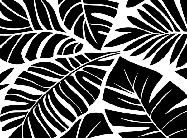 Black and White Tropical Foliage