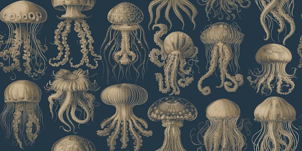 Elaborate Jellyfish - Midnight Gold