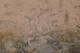 Antique Garden Statement Wall