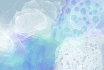 Τοιχογραφία