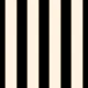 Black and Cream Narrow Vertical Stripes