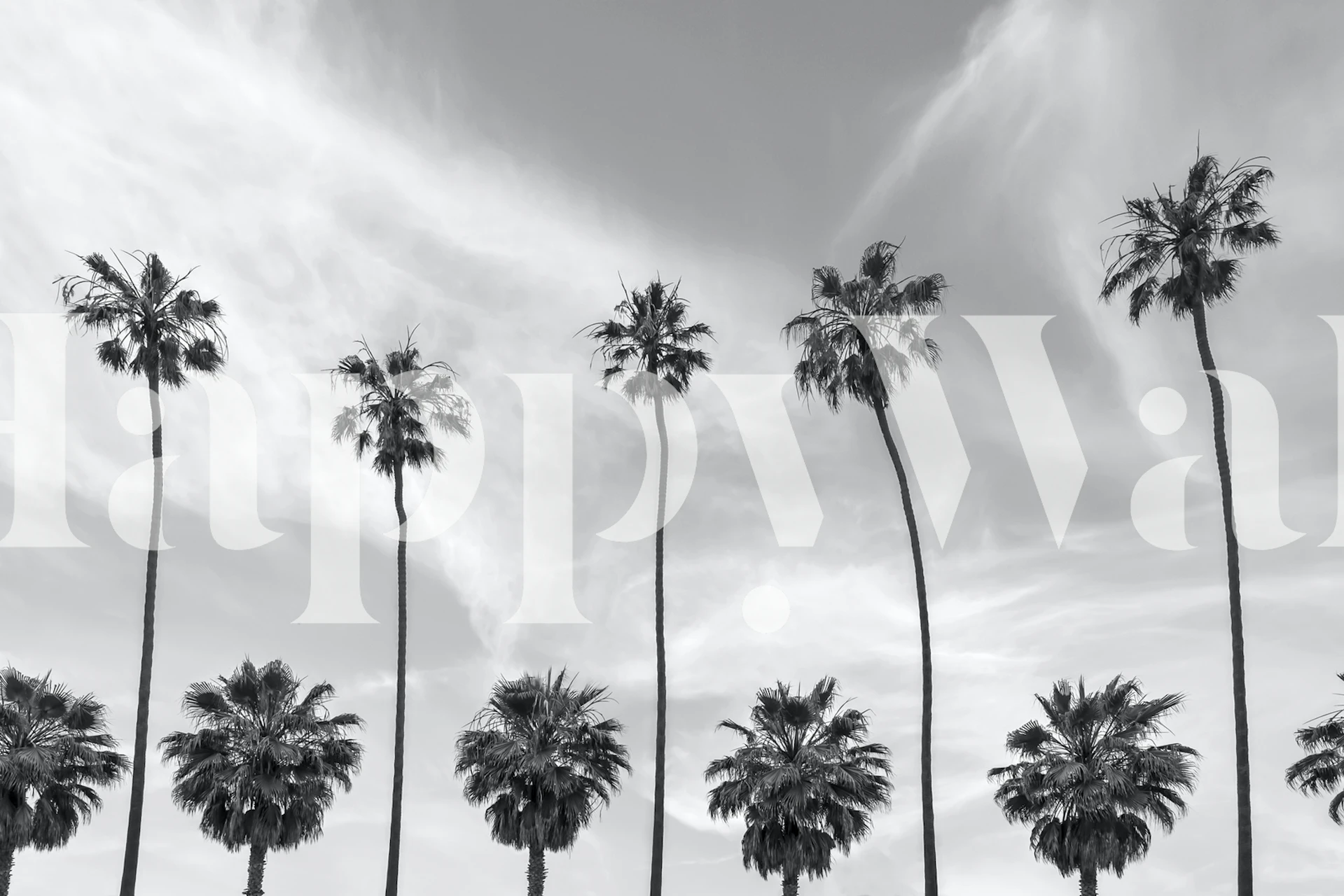 Yksivärisiä palmujen siluetteja rauhallista taivaan seinämaalausta vasten