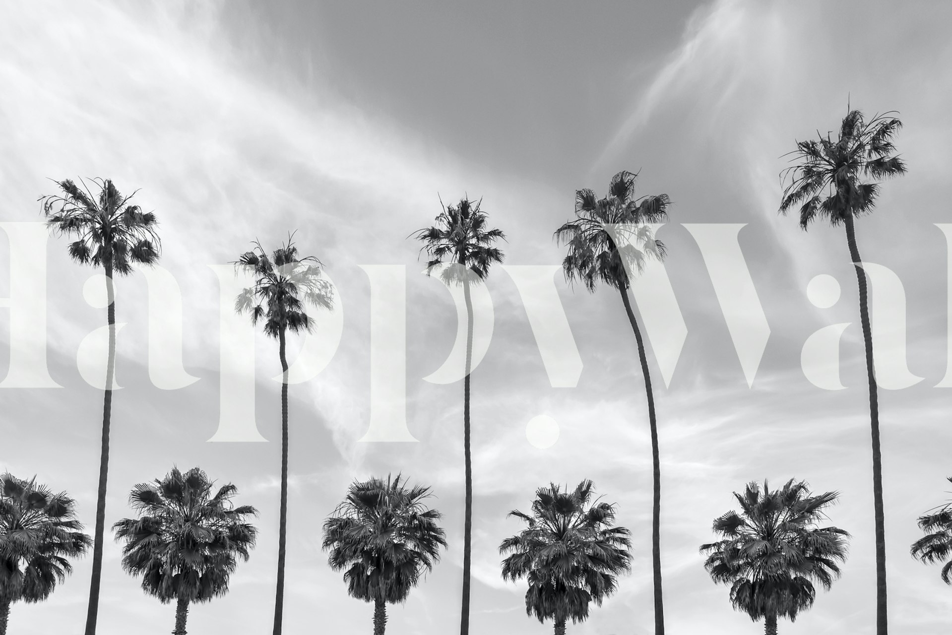 Monochrome palm tree silhouettes against a calm sky wall mural