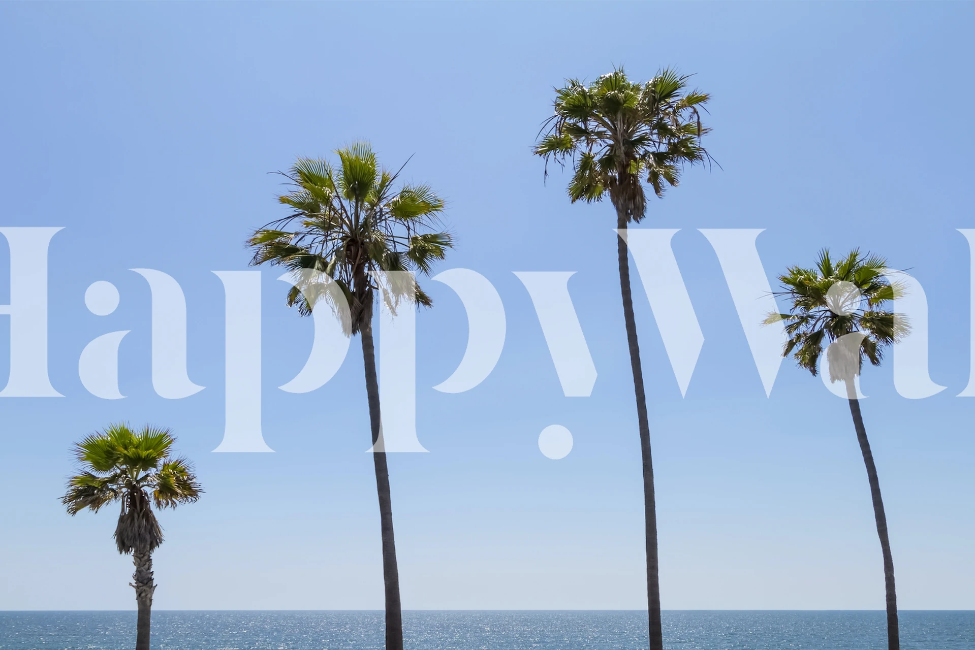 Palm trees by the sea Tapete in einem Zimmer