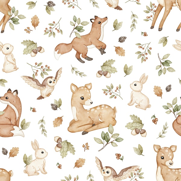 Woodland Wonders