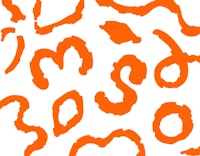 Vibrant Orange Curves tapete