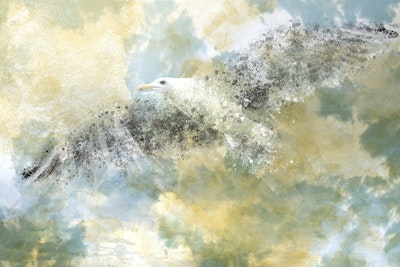Mural