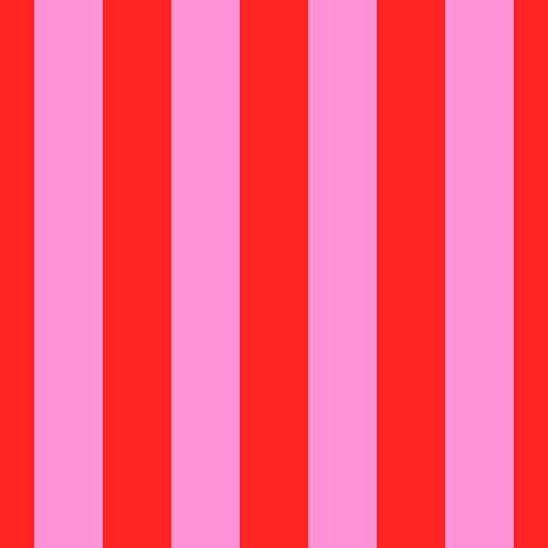 Preppy Pink and Red Bright Vertical Stripes
