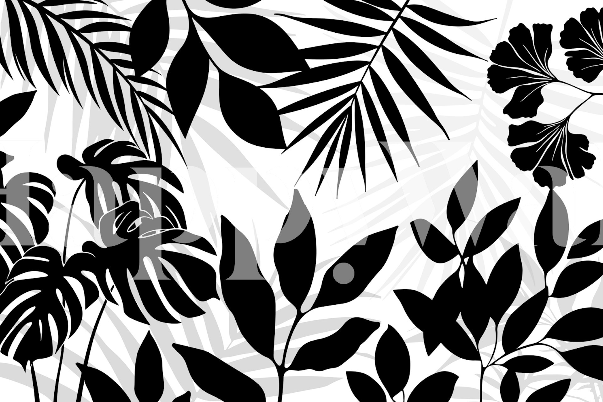 Black and white jungle leaves and palm wallpaper