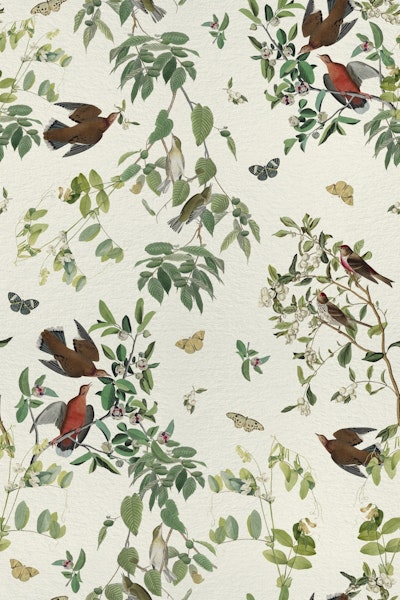 Pattern