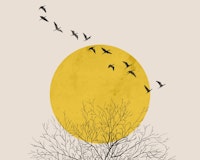 Birds at Sunrise (grunge effect) tapet