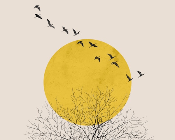 Birds at Sunrise (grunge effect)