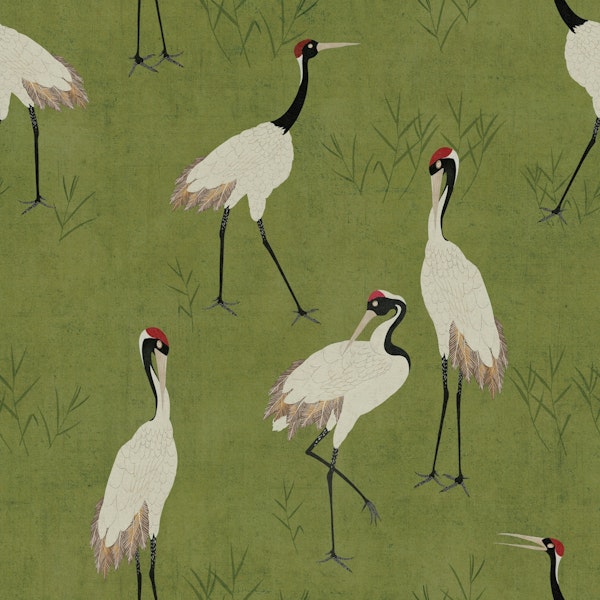 Vibrant crane - Olive Green