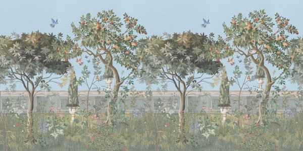 Orange Tree Orchard Dream Art