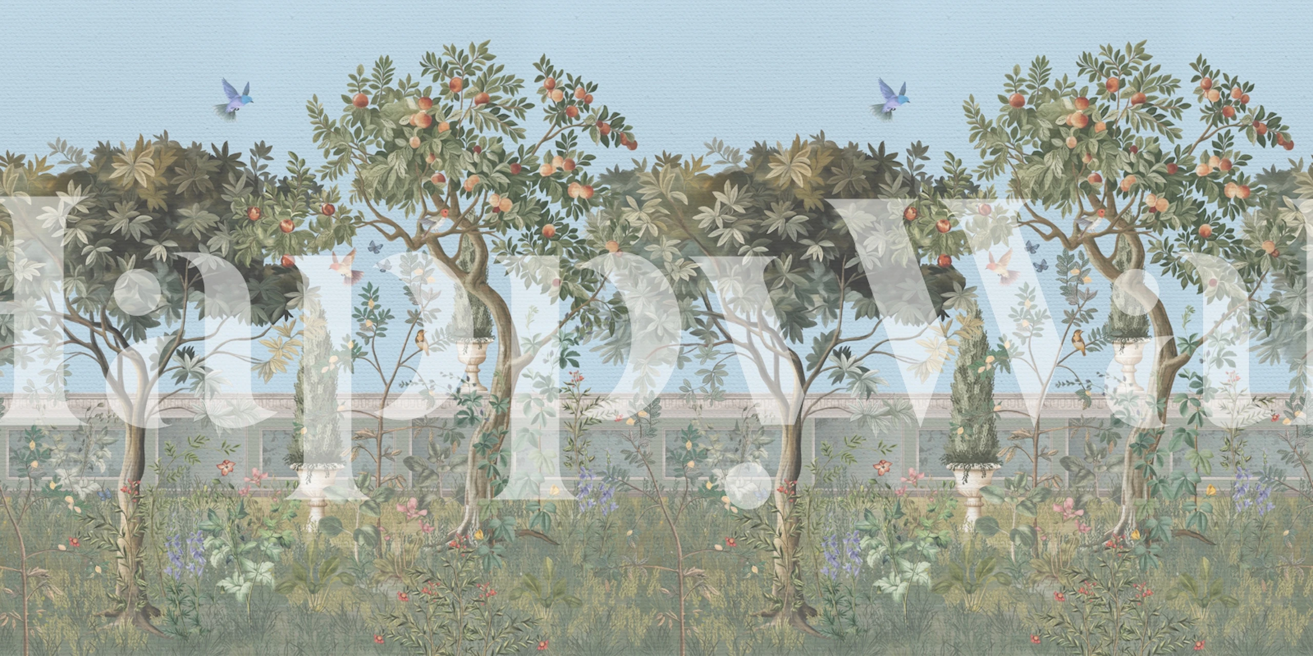 Orange Tree Orchard wallpaper i et værelse