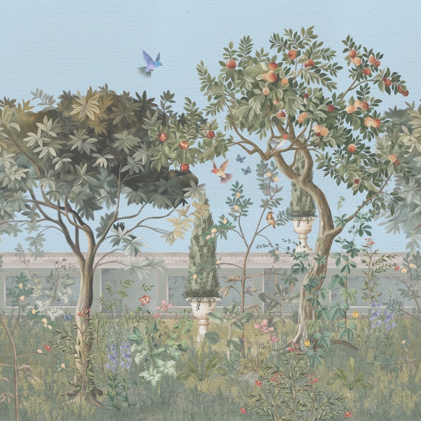 Orange Tree Orchard Dream Art