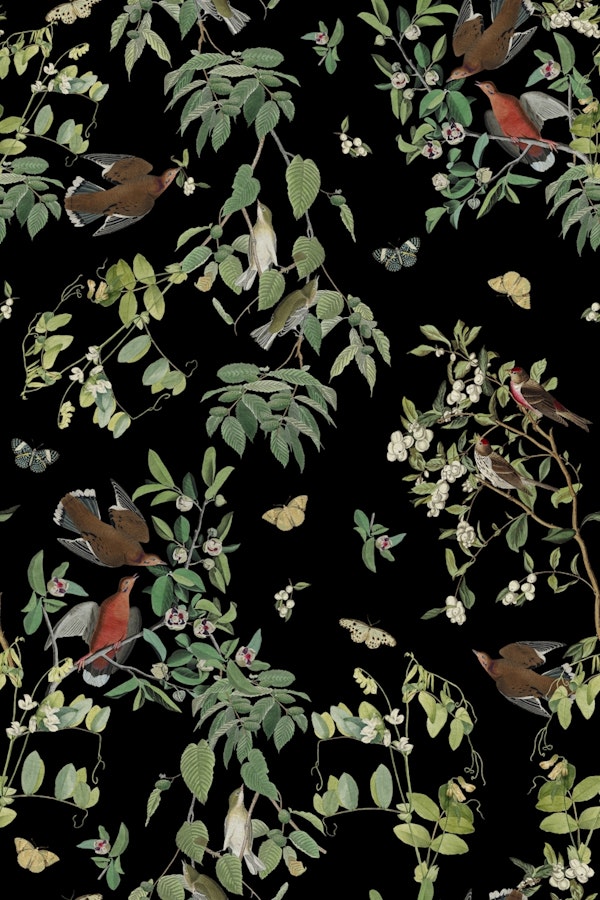 Wings and Flora Charm Black Velvet