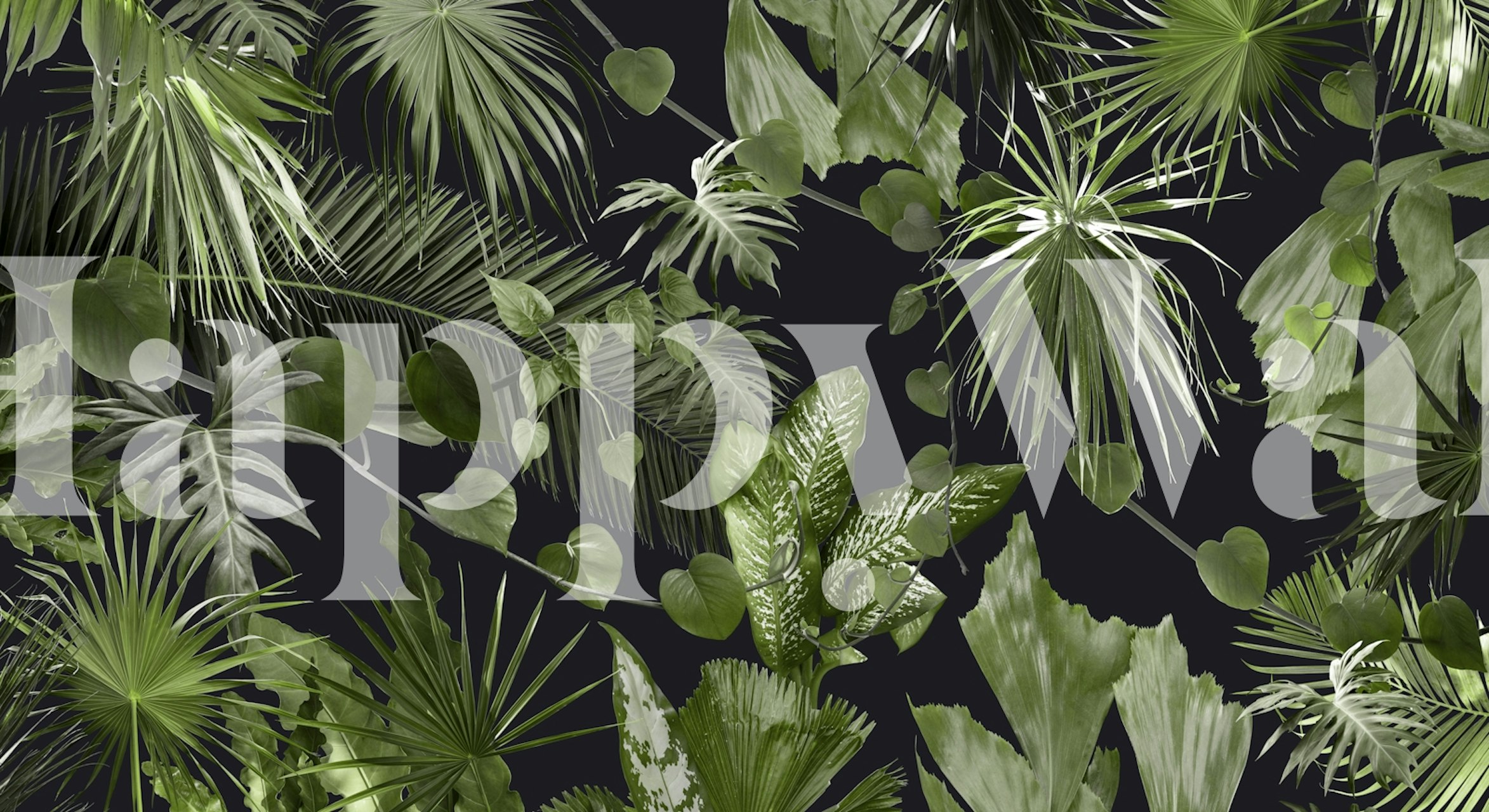 Tropical leaves in green tones on black background wallpaper