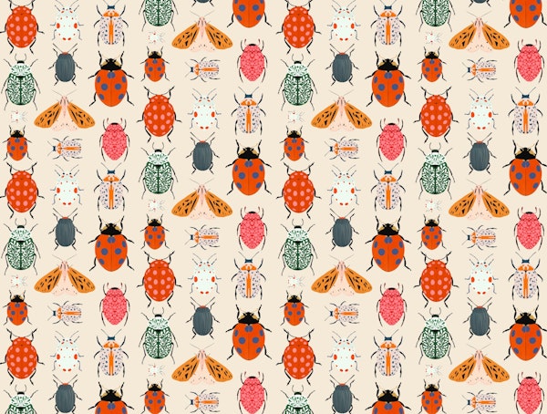 Colorful Beetle Collection