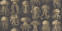 Elaborate Jellyfish - Nebel & Ochre ταπετσαρία