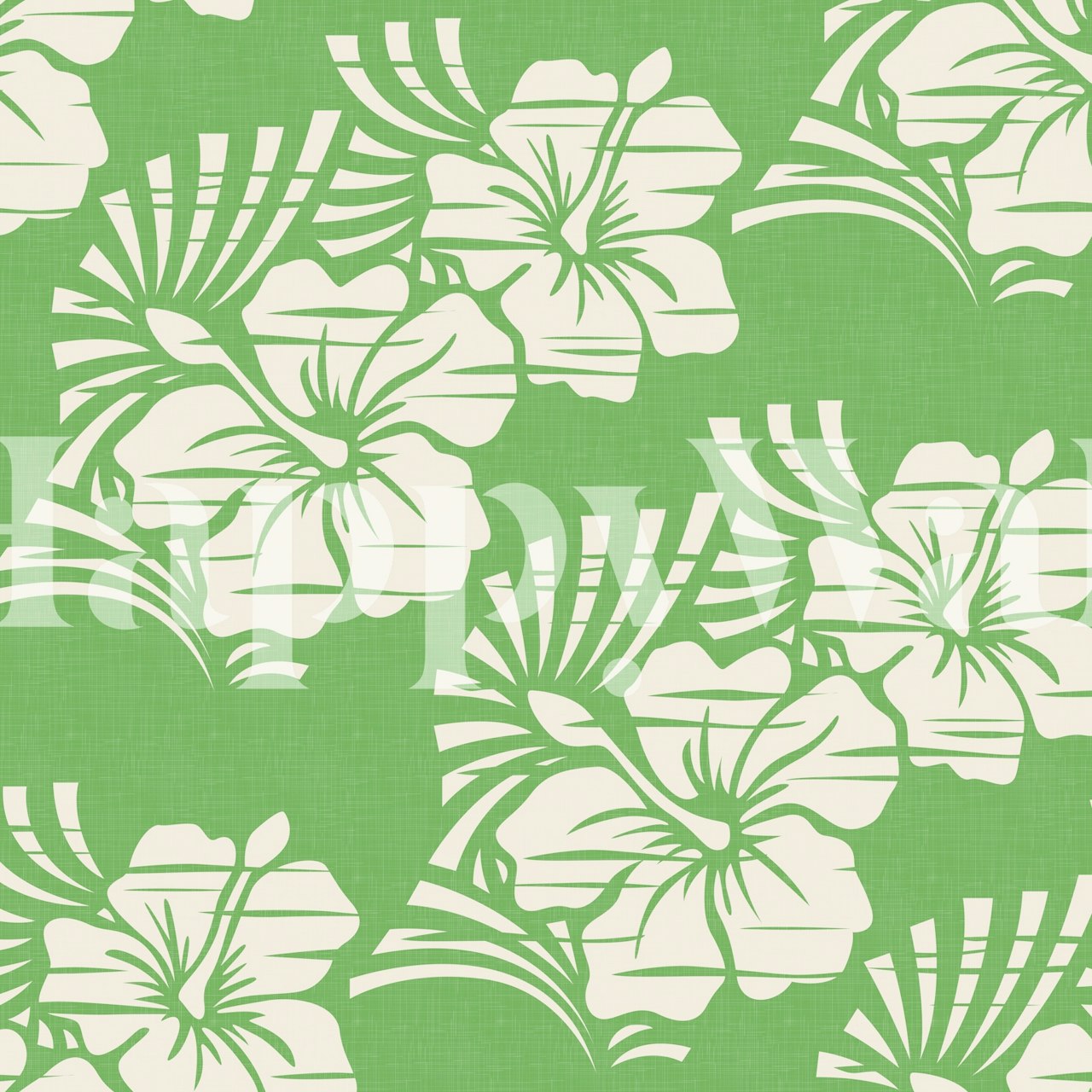 Tropical hibiscus flowers in white on green wallpaper