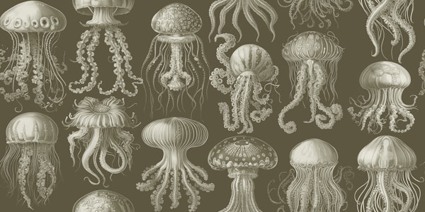 Elaborate Jellyfish - Olive