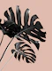 Tropical Monstera Finesse 3