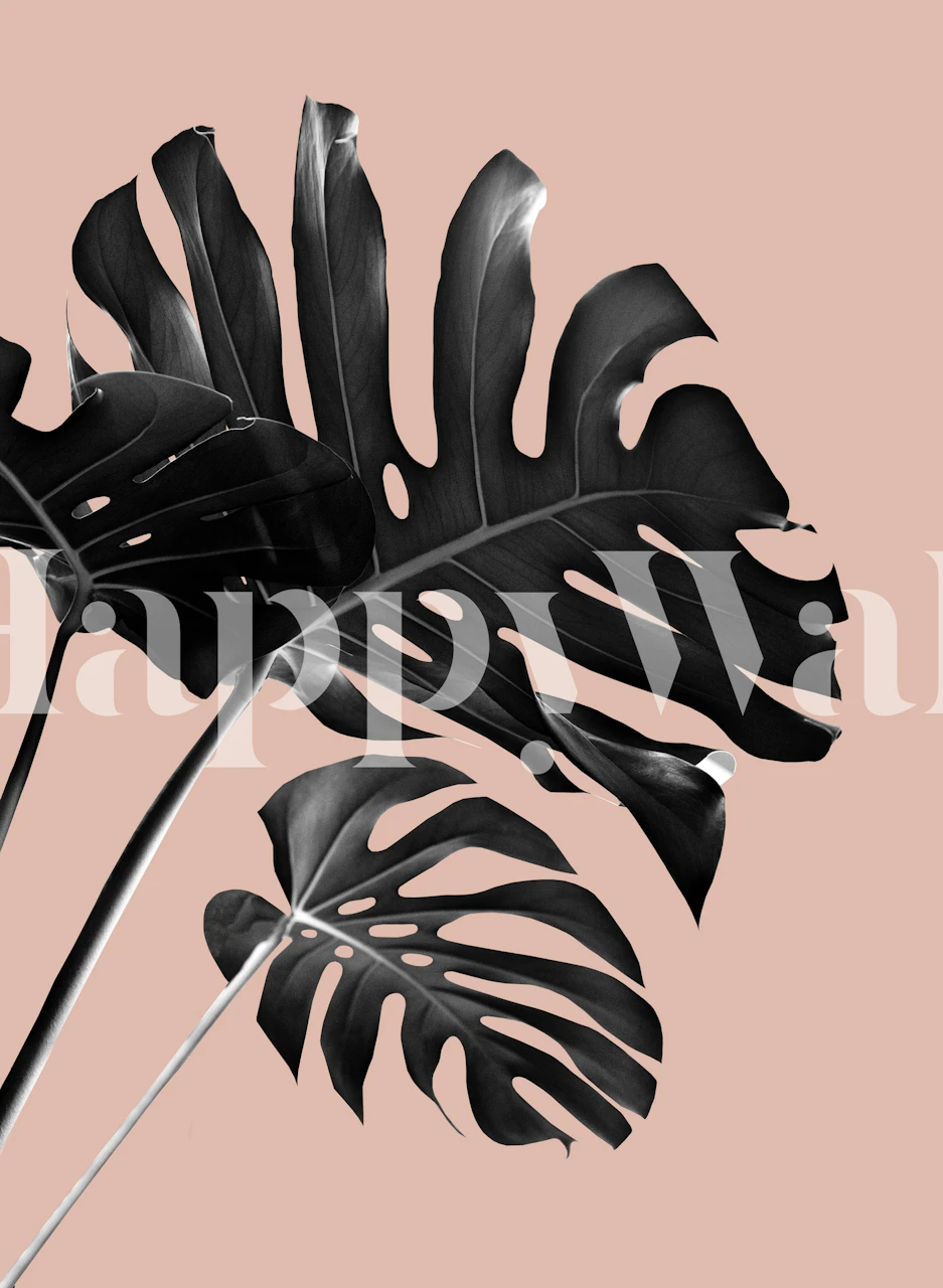 Black monstera leaves on pink background wallpaper