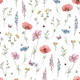 Polish Meadow