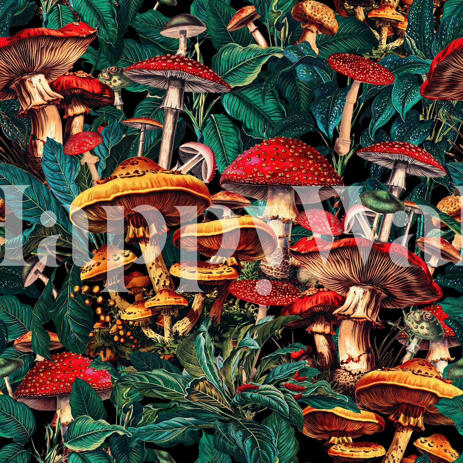 Colorful Mushroom Botanical Wallpaper