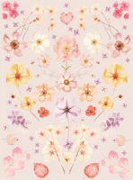 Pressed Flower Garden Beige Blush tapet
