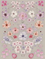 Pressed Flower Garden Pink Grey tapet
