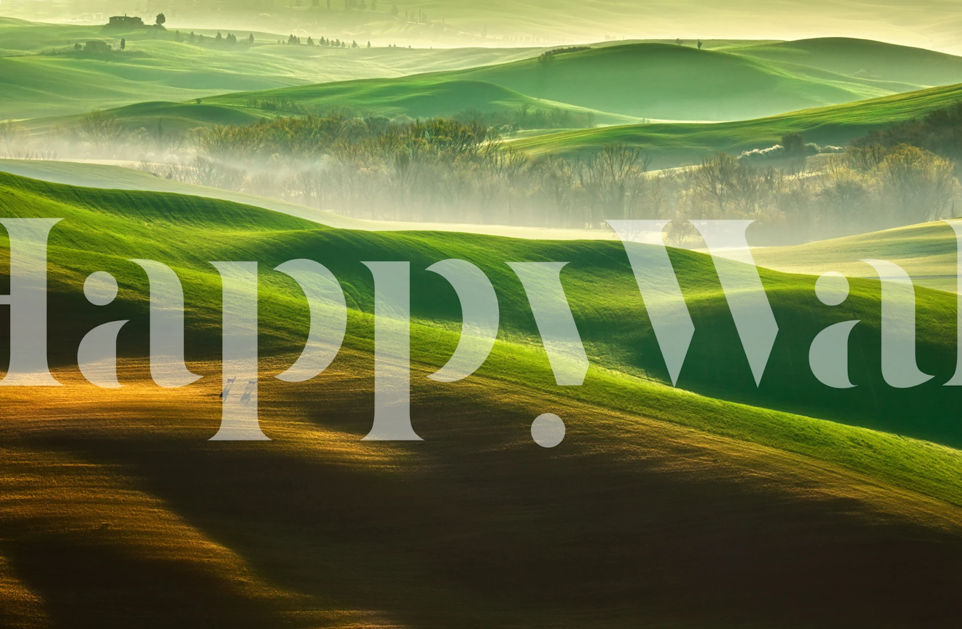 Lush green hills and golden fields in a misty Italian landscape wallpaper