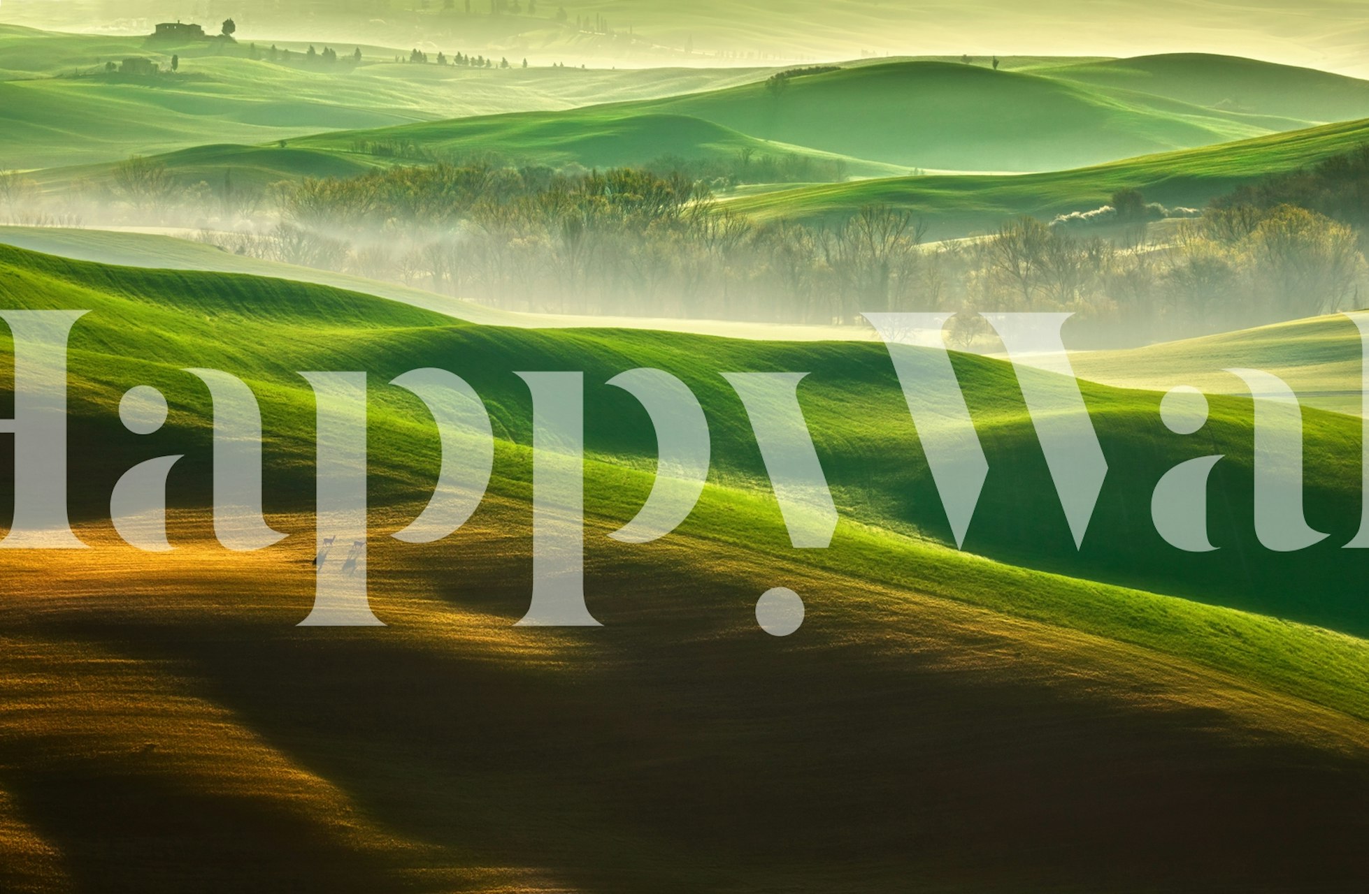 Lush green hills and golden fields in a misty Italian landscape wallpaper