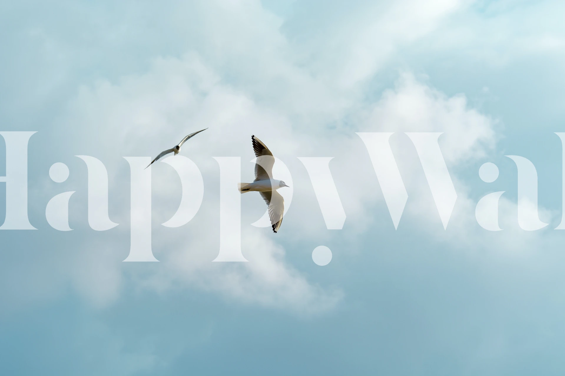 Two seabirds flying in a peaceful sky with fluffy clouds mural