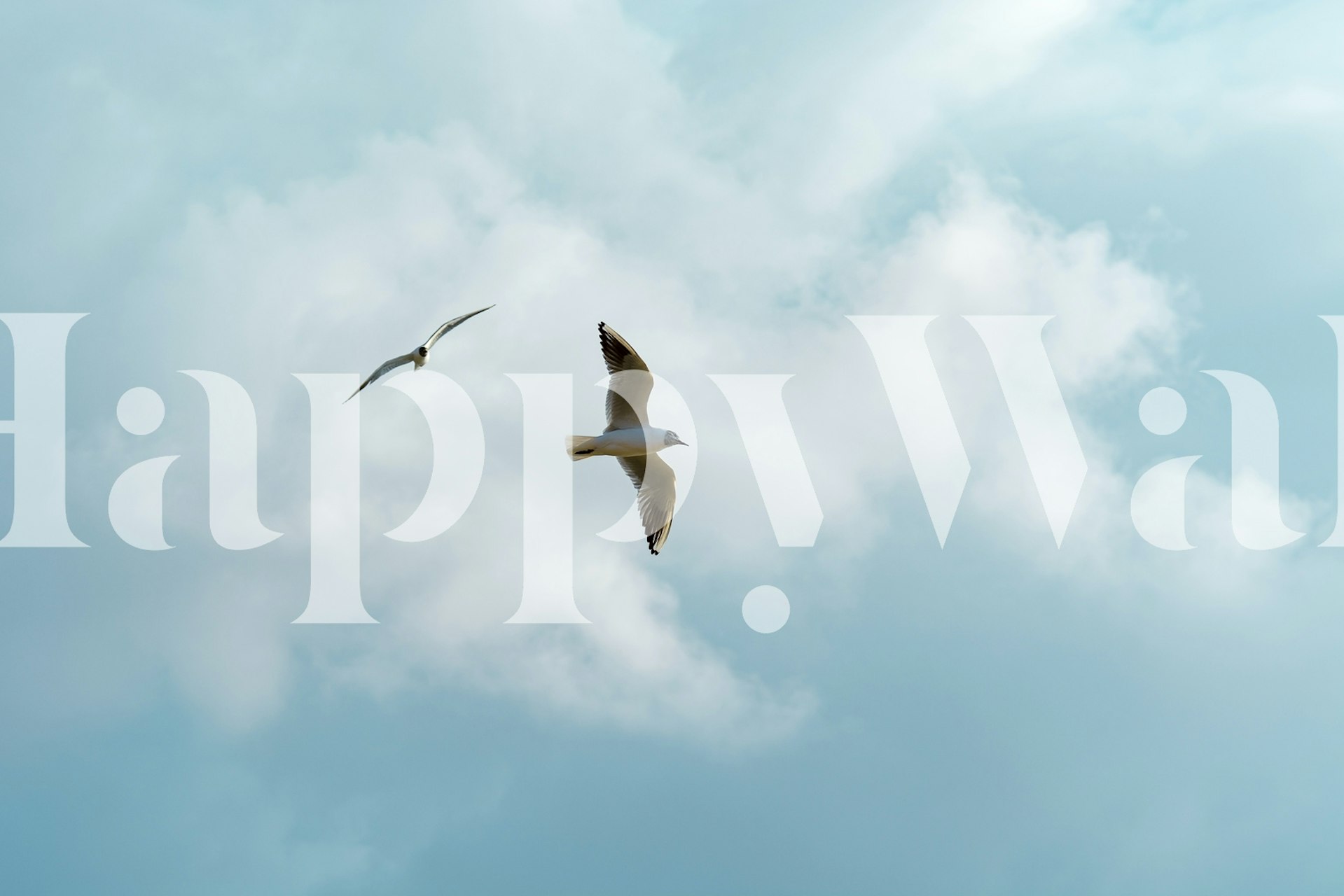 Two seabirds flying in a peaceful sky with fluffy clouds mural