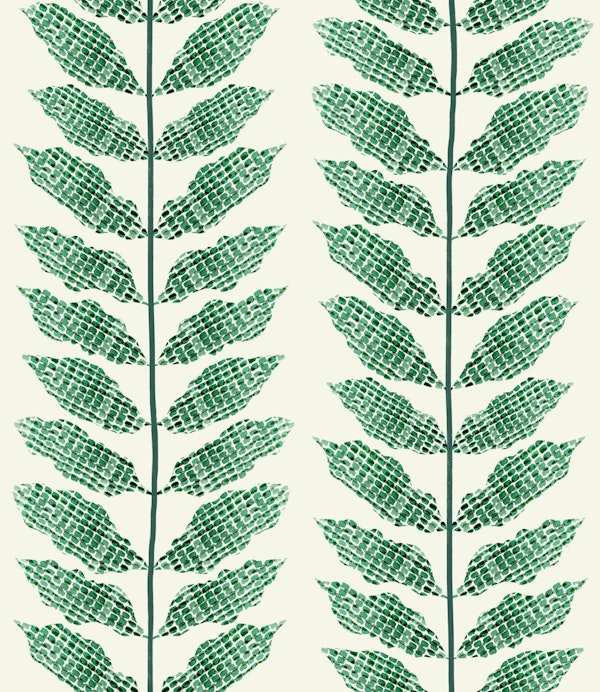 Jewel Vine Botanical