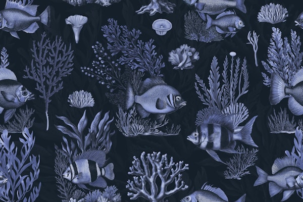 Deep Sea Adventure Blue