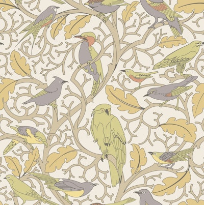 Pattern
