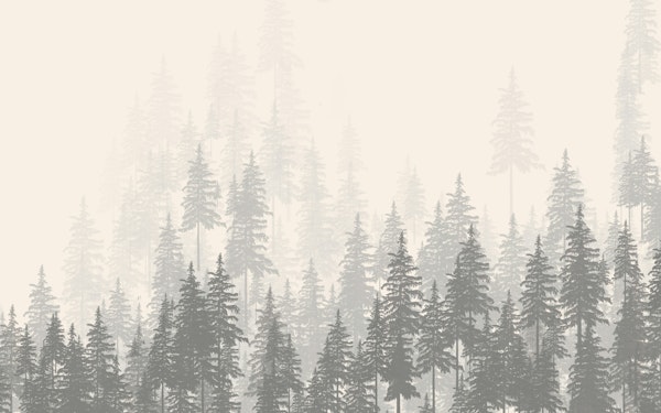 Minimalist Forest Landscape