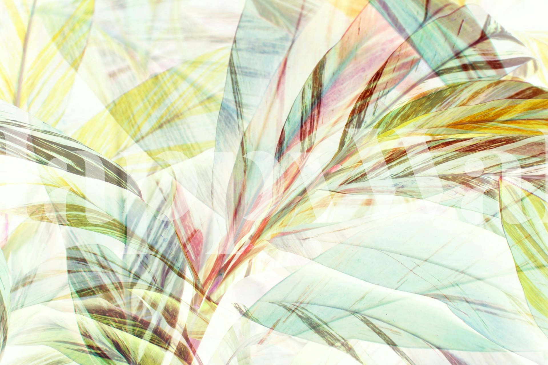 Colorful overlapping tropical leaves in soft hues wallpaper