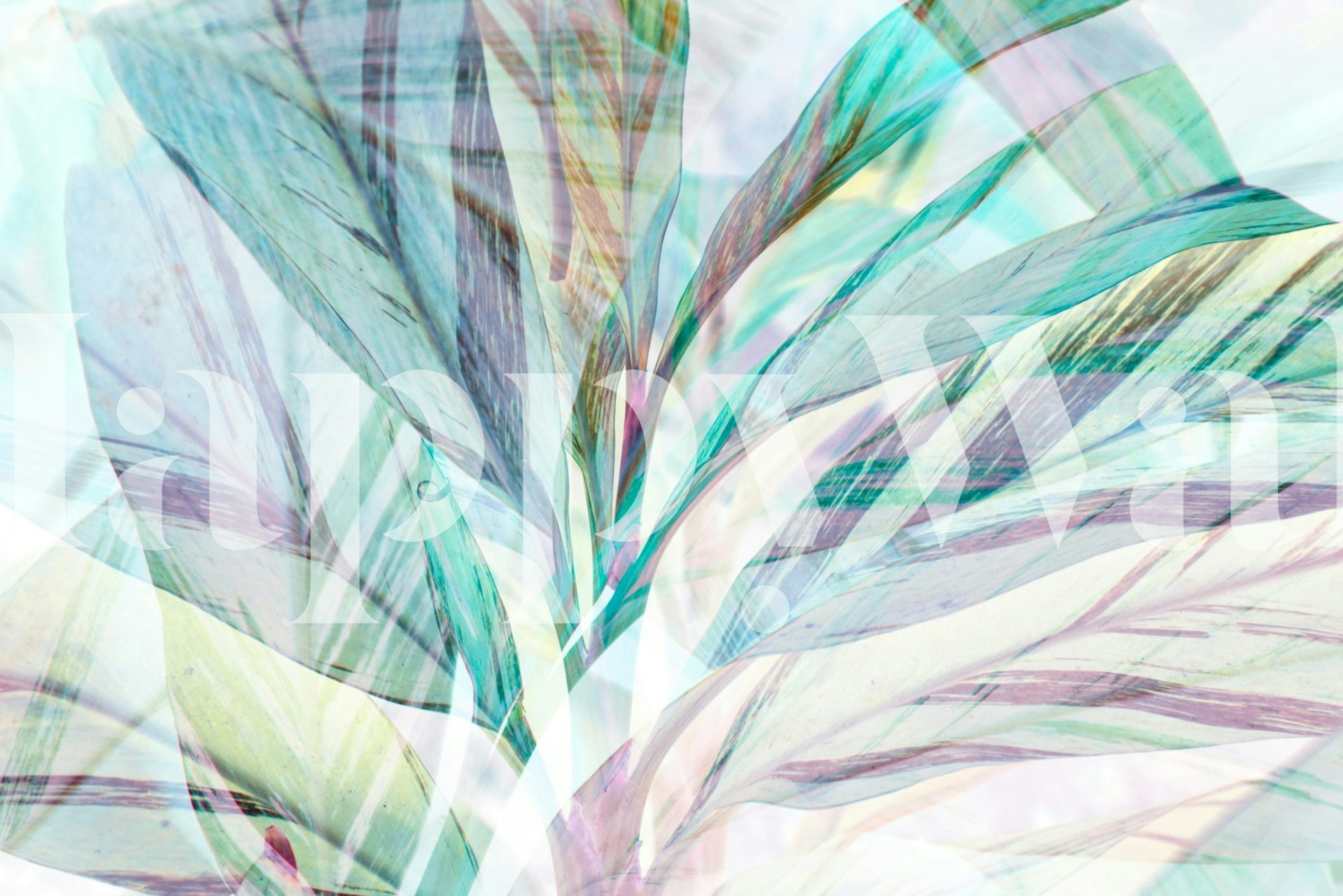 Light of Shadow 02 wallpaper in a room