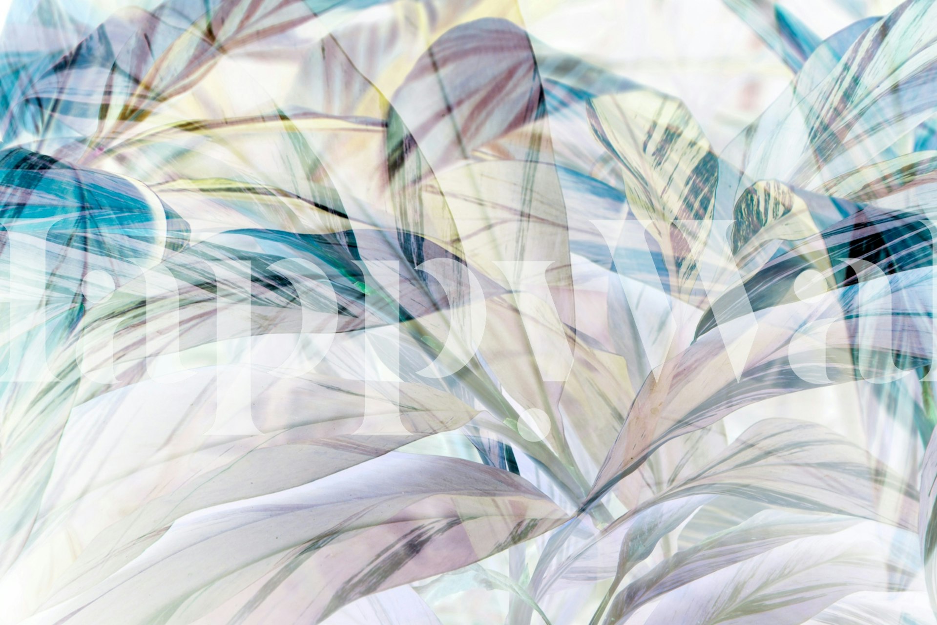 Tapeta The Light of Shadow 03 v místnosti