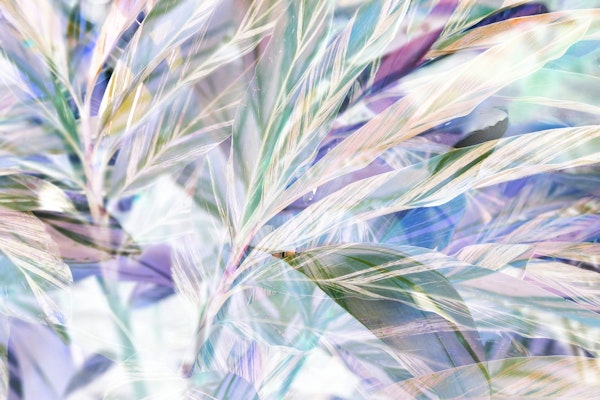 The Light of Shadow 04