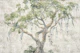 Lush Green Tree Oasis Grunge