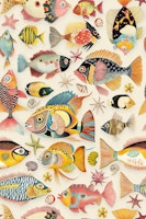 Vibrant Ocean Life Fancy Fish tapeta