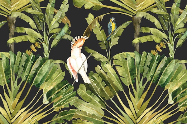 Tropical Rainforest Birds on Off-Black
