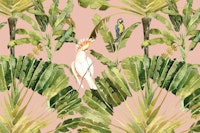 White Cockatoo & Parrot in Jungle Scene tapete